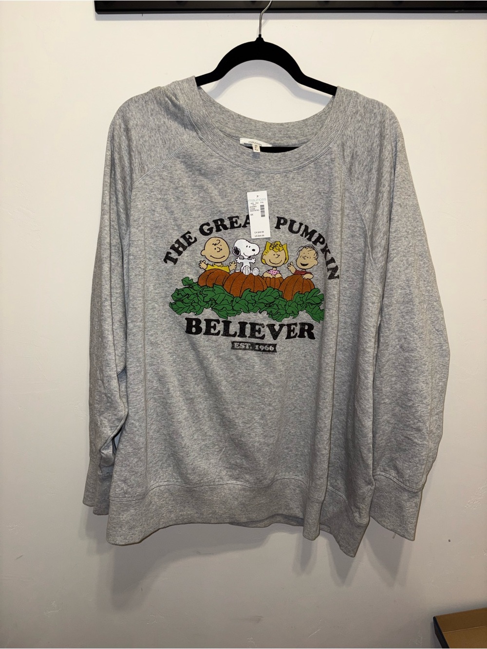 Grey 'The Great Pumpkin Believer' Graphic Sweatshirt